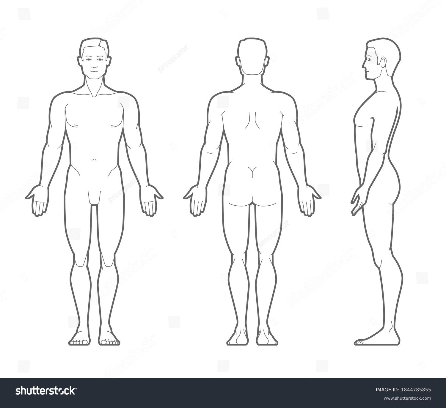 Blank Printable Human Body Diagram
