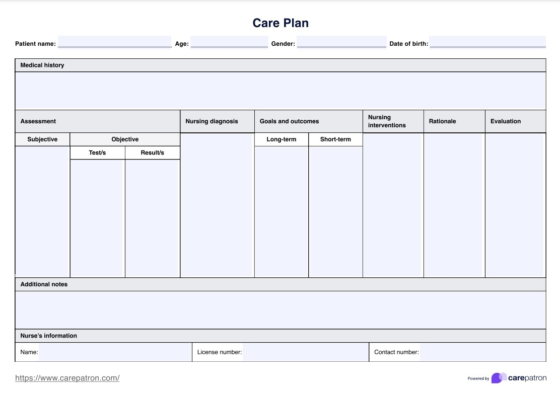 Care Plan Template Example Free PDF Download
