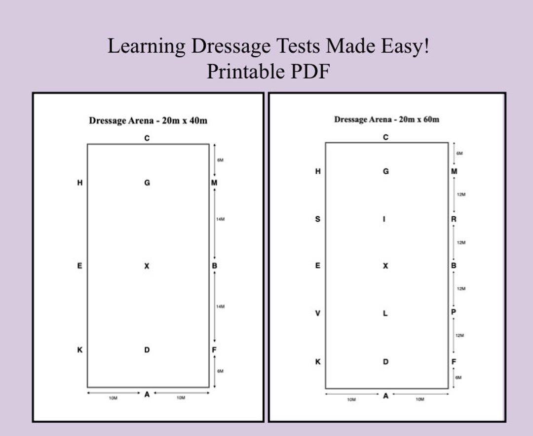 Dressage Arena Templates Etsy