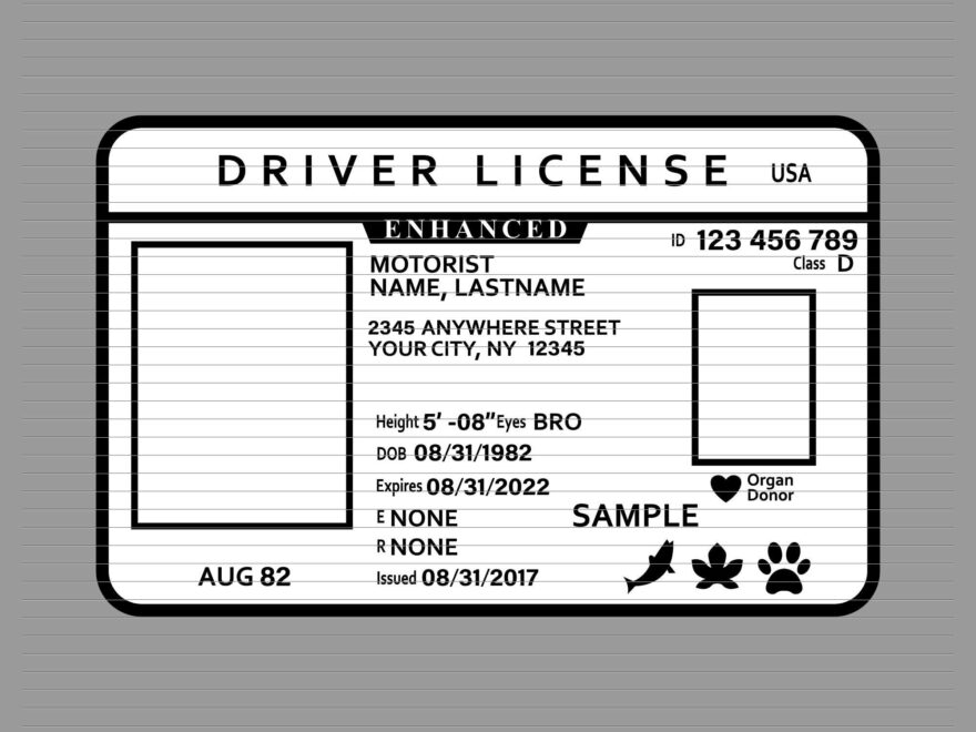 Driver Licence Svg Driver License Id Svg Id Card Identification Svg Identification Card Drive License Drive Svg Driving Clipart D926 Etsy