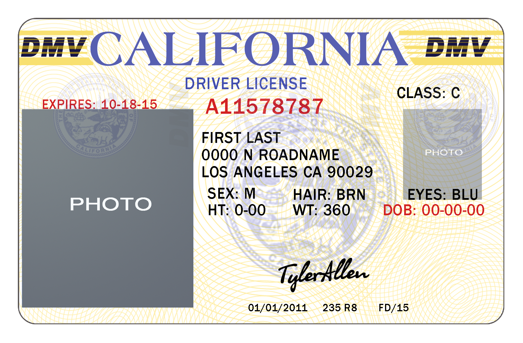 Drivers License Blank Templates Suzannesiefalhogo1987 s Ownd