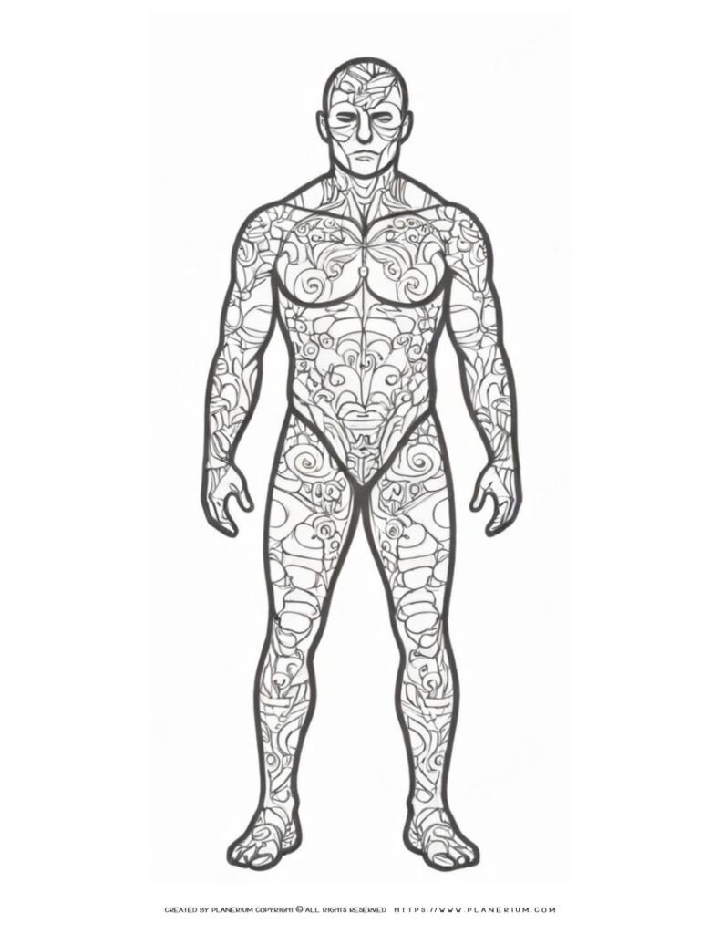 Engage Students With Ornate Human Body Anatomy Printable