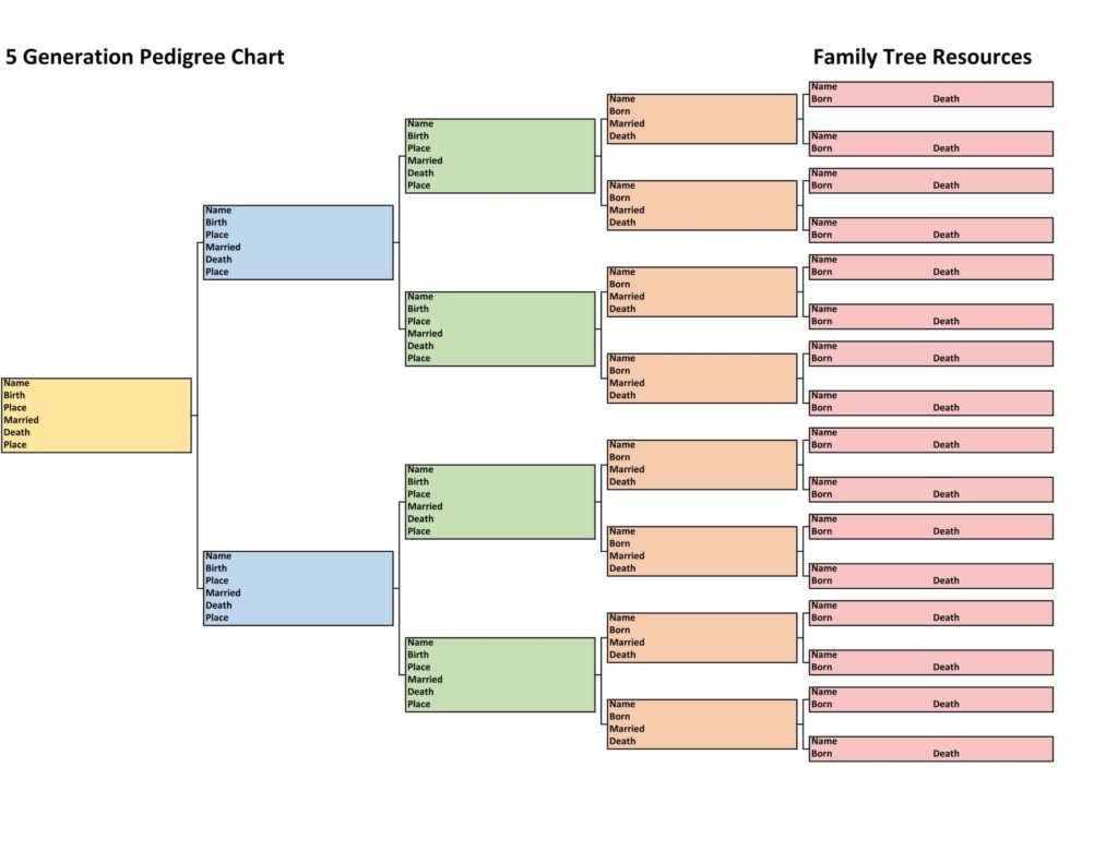Printable Blank Family Pedigree Chart