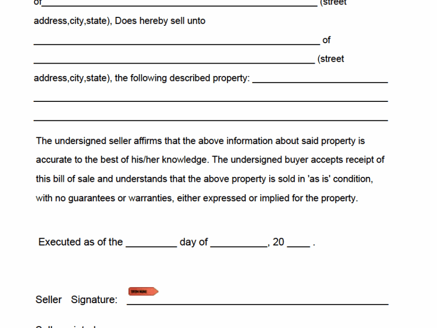 Free Blank Bill Of Sale Form PDF