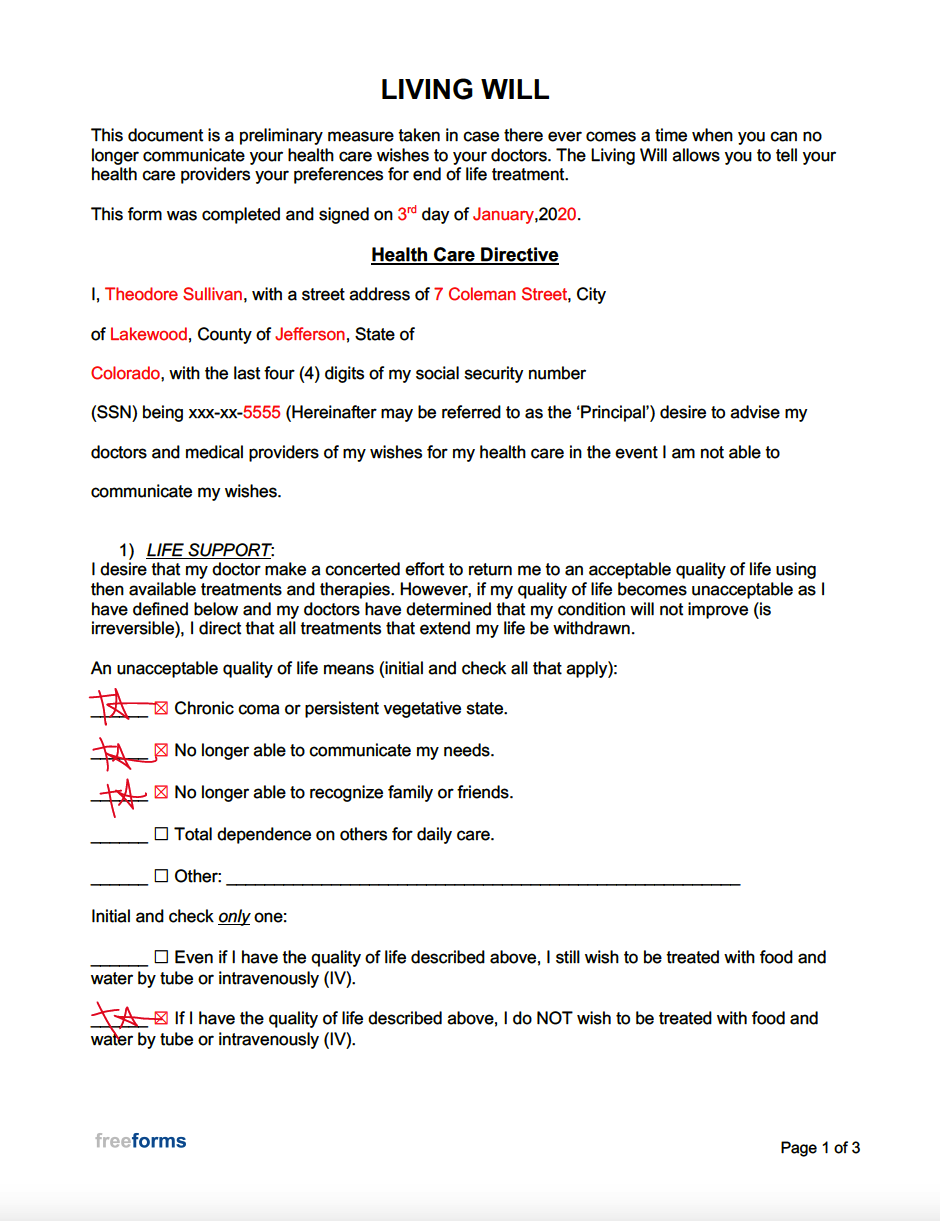 Blank Printable Template Living Will