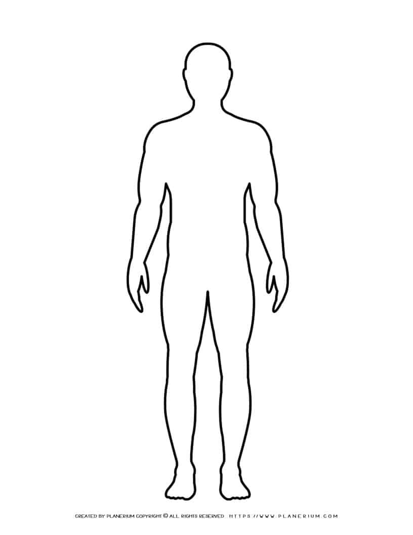 Male Body Outline Planerium