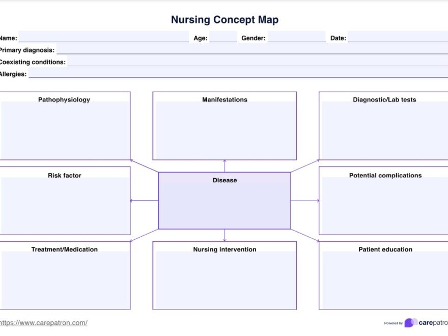 Nursing Concept Map Example Free PDF Download