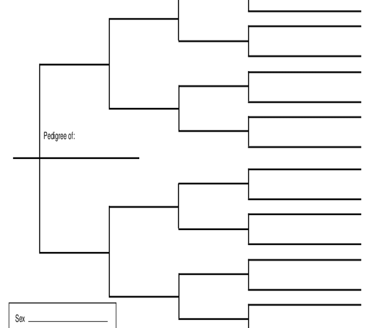 Pedigree Chart Template Fill Online Printable Fillable Blank PdfFiller
