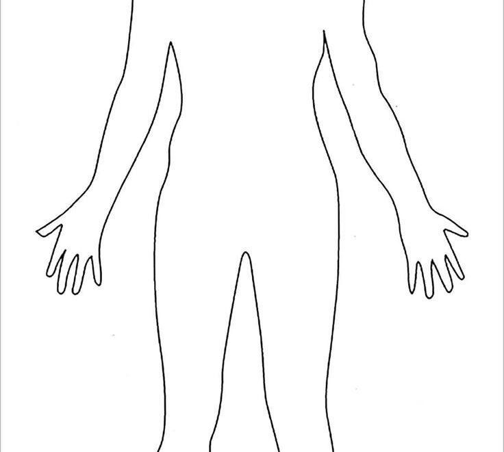 Printable Outline Of A Body Blank Diagram Anatomy Anatomical Position Outlines Cuerpo Doc Corps