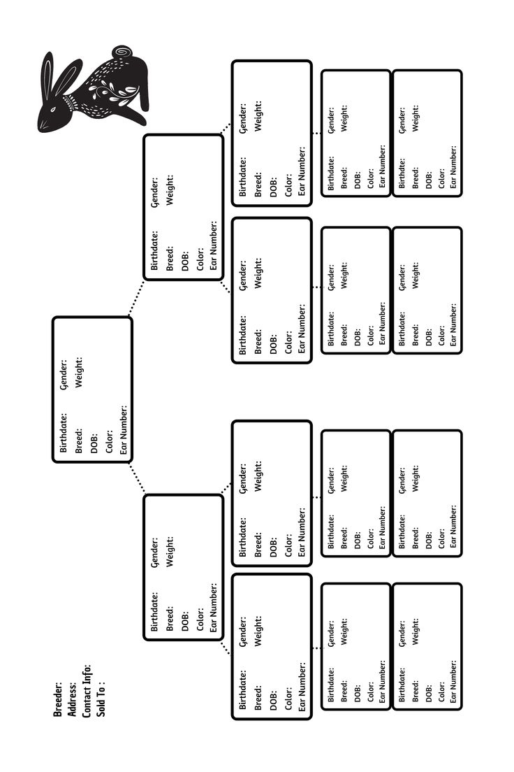 Printable Rabbit Pedigree Blank Free