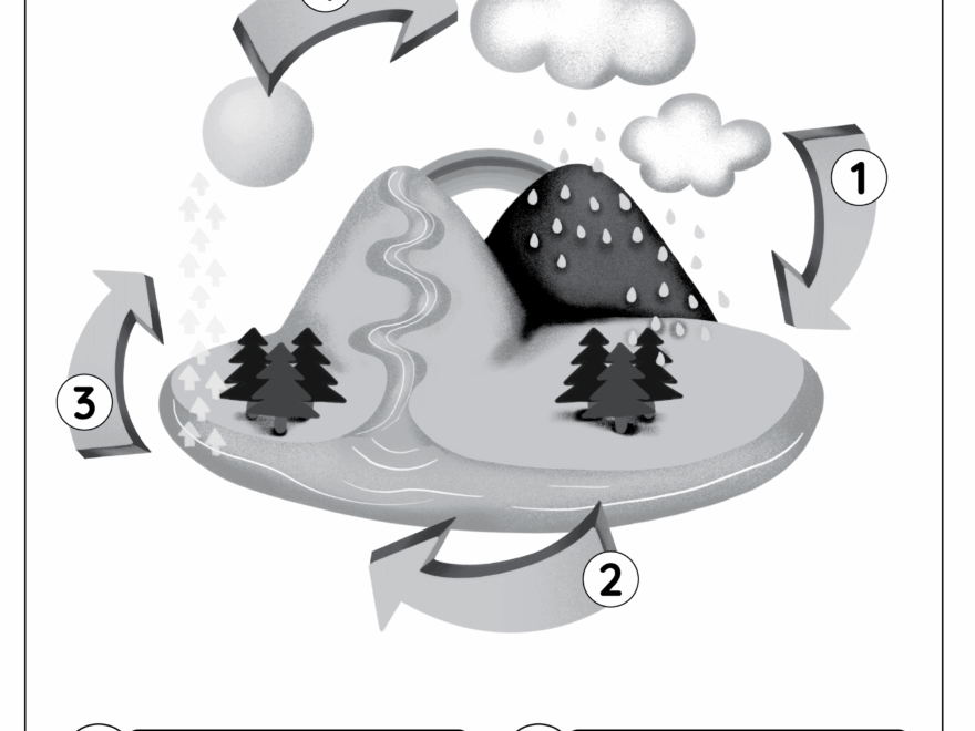 The Water Cycle Free Worksheet SKOOLGO