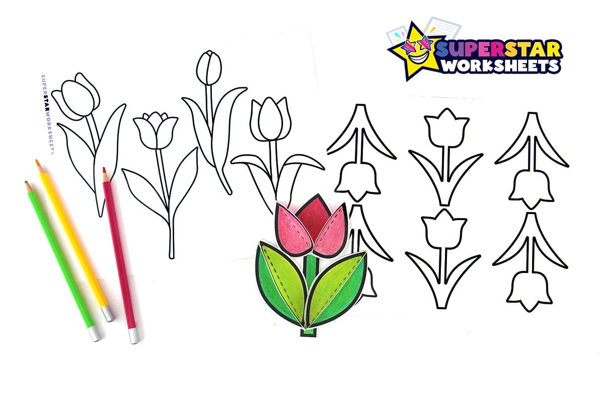 Tulip Template Superstar Worksheets