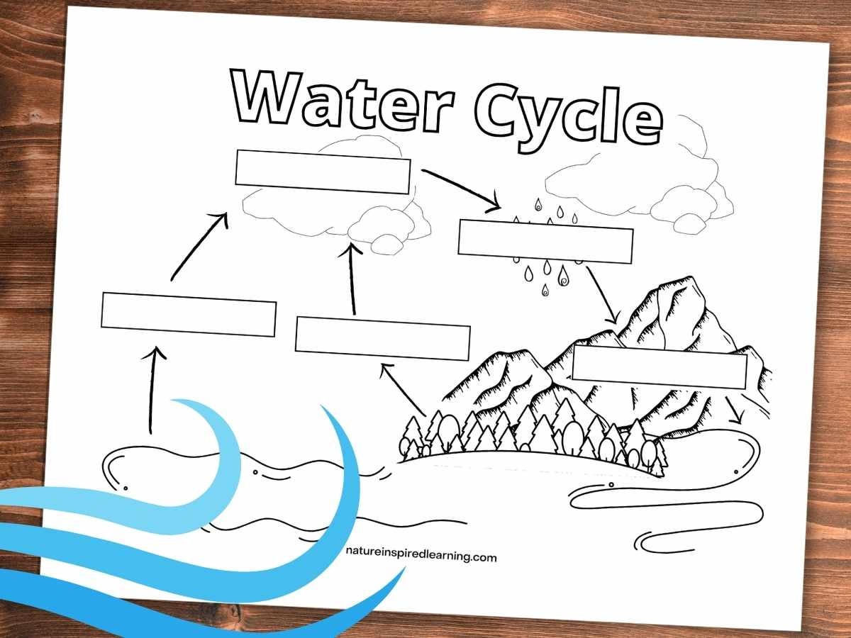 Water Cycle Coloring Pages For Kids Nature Inspired Learning