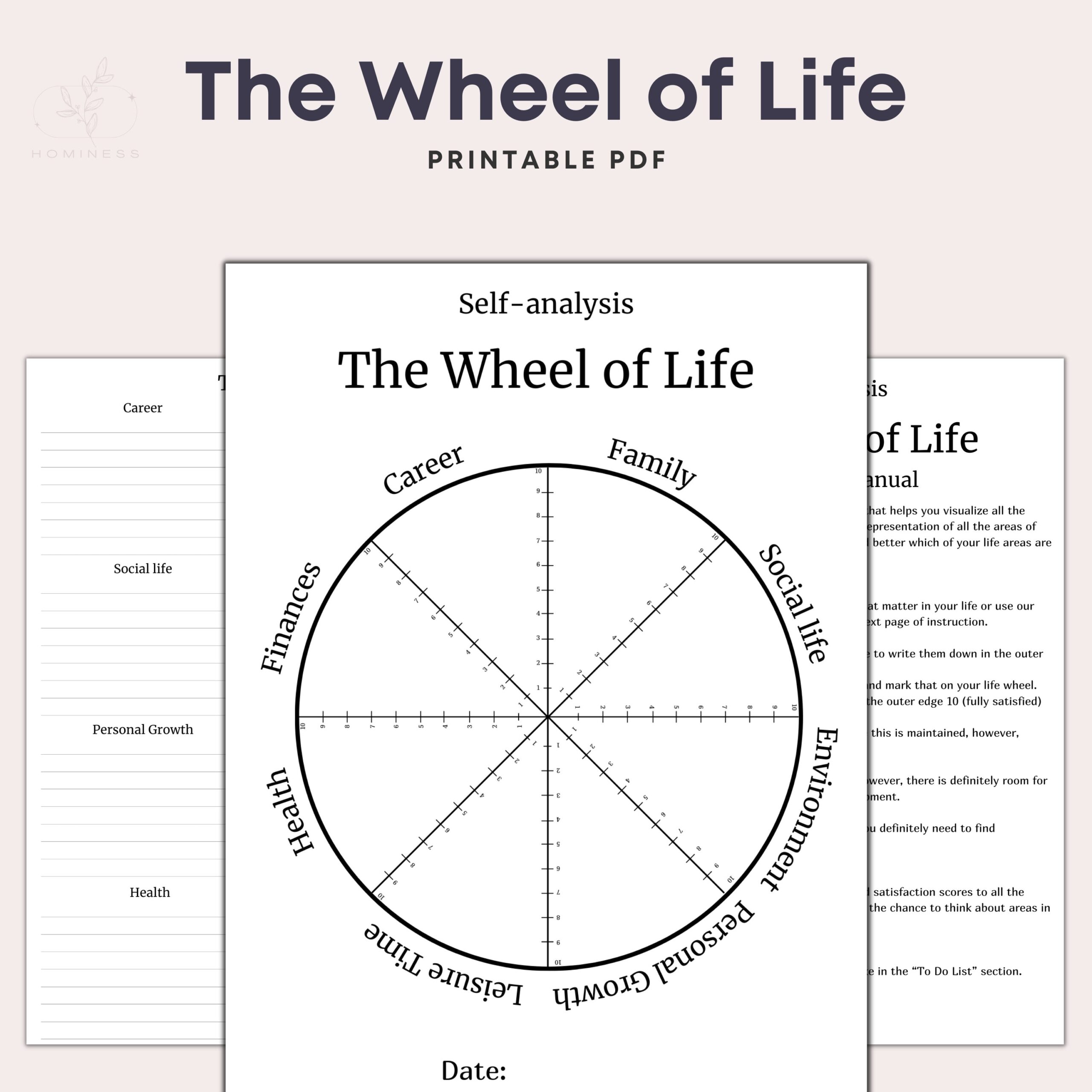Wheel Of Life Printable Wheel Of Balance Template Coaching Worksheet Life Balance Wheel Printable PDF Life Goals Digital Download Etsy