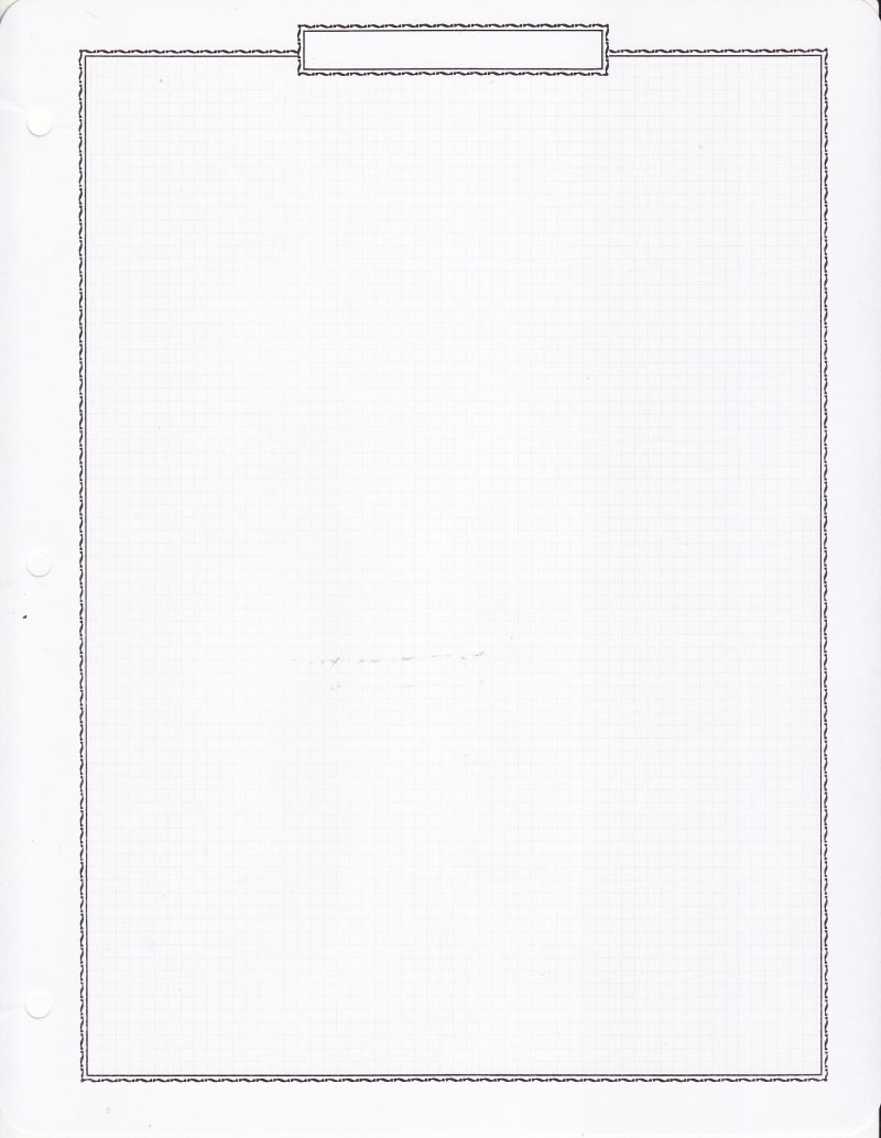 White Ace Economy Quadrille Blank Stamp Album Pages