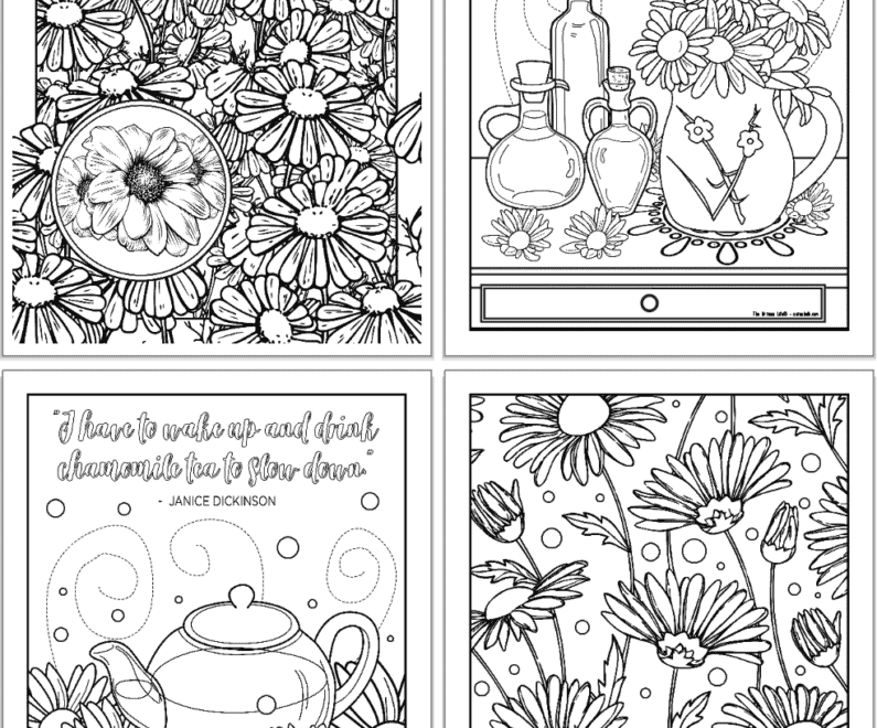 11 Free Printable Chamomile Essential Oil Coloring Pages The Artisan Life