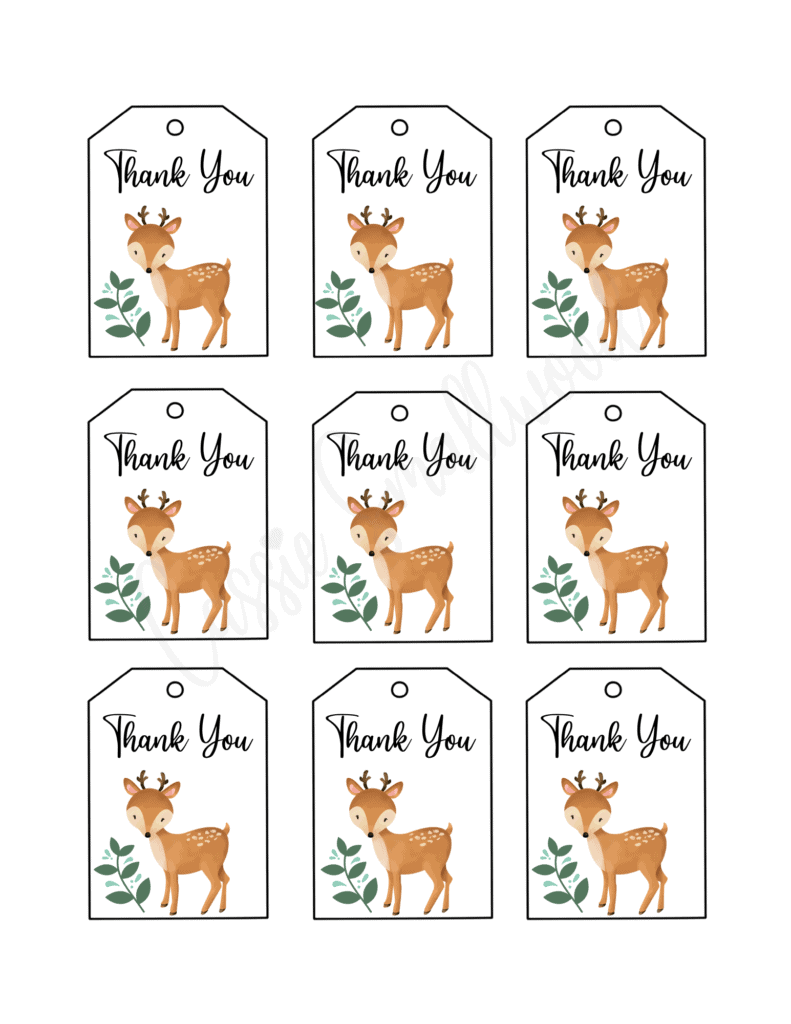 Free Printable Tags For Baby Shower Favors