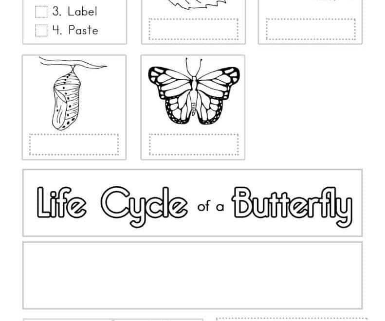 Butterfly Worksheets Superstar Worksheets