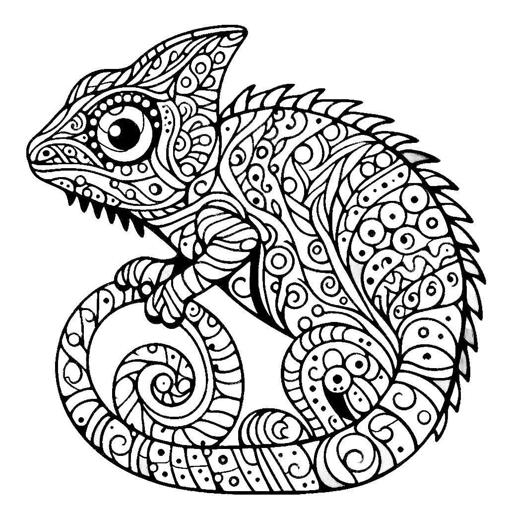Chameleon Coloring Page