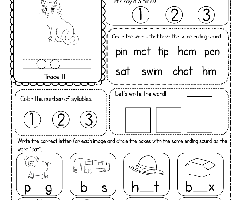 CVC Words Worksheet Free Printable Digital PDF