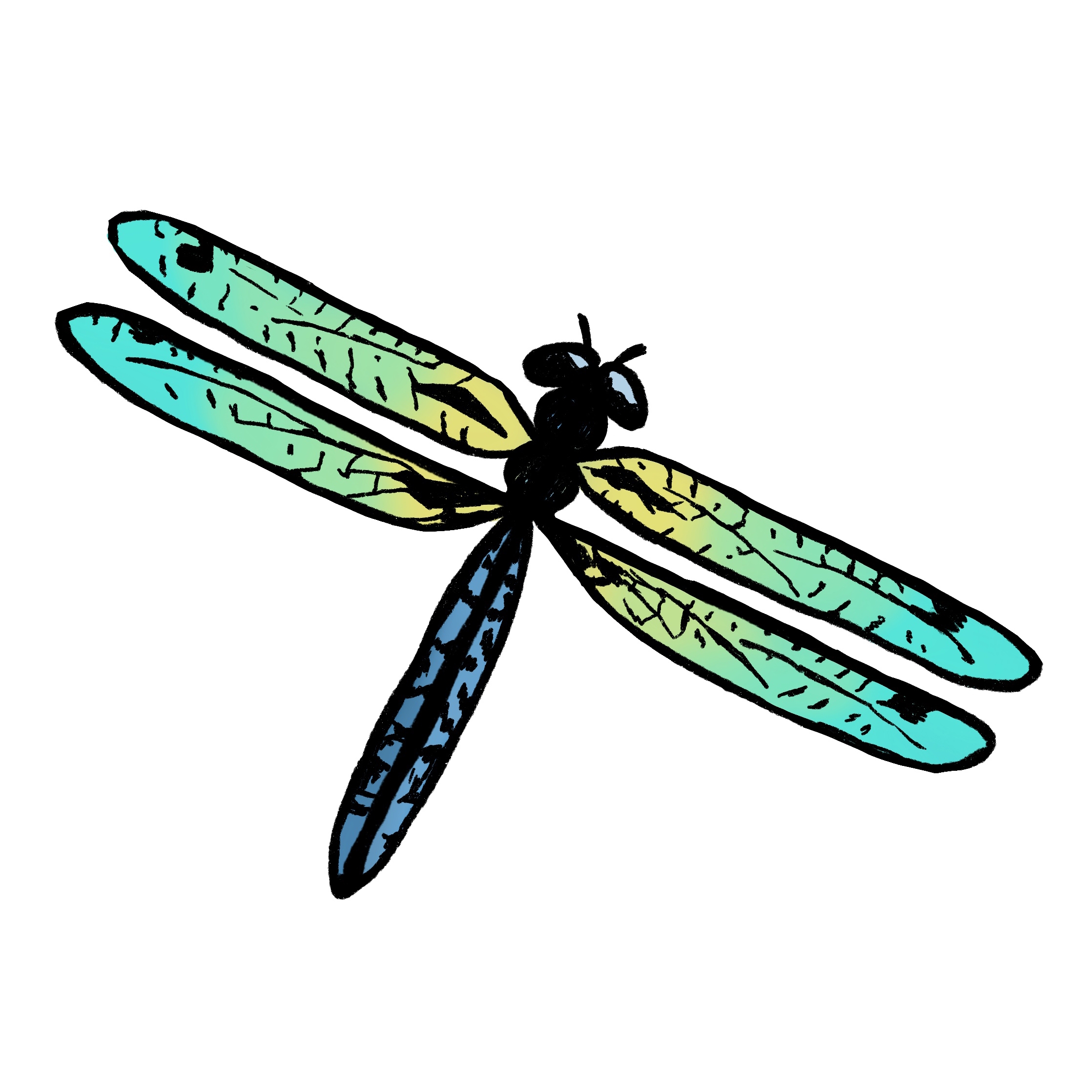 Easy Dragonfly Drawing 4 Steps The Graphics Fairy