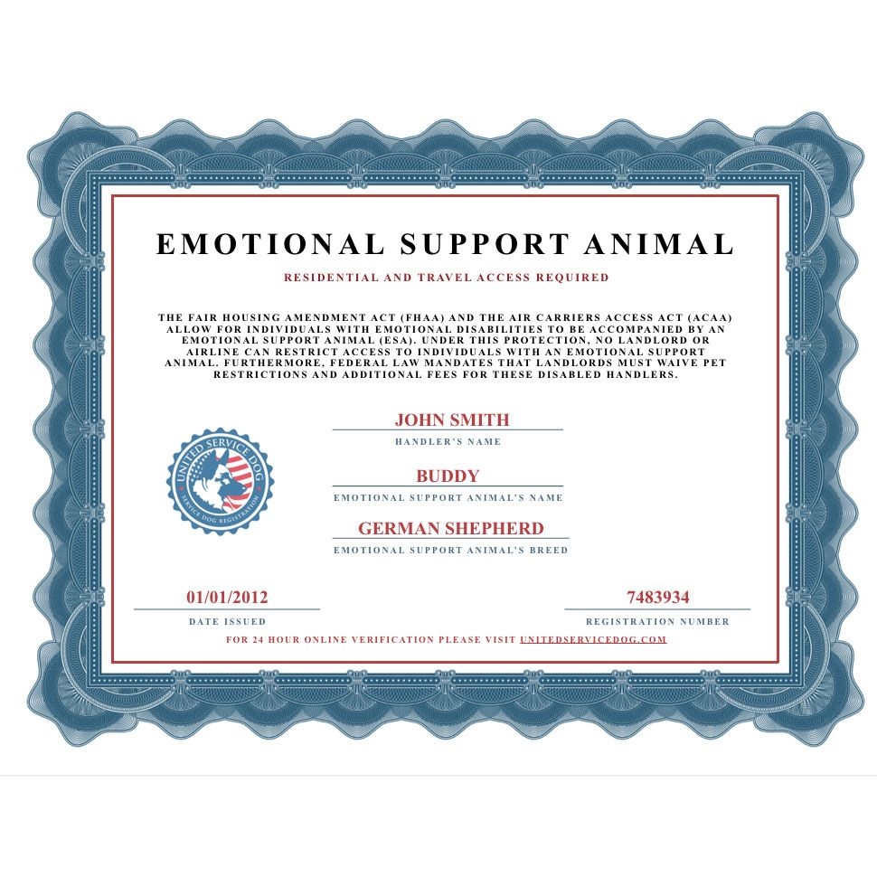 Emotional Support Animal For Free Clearance