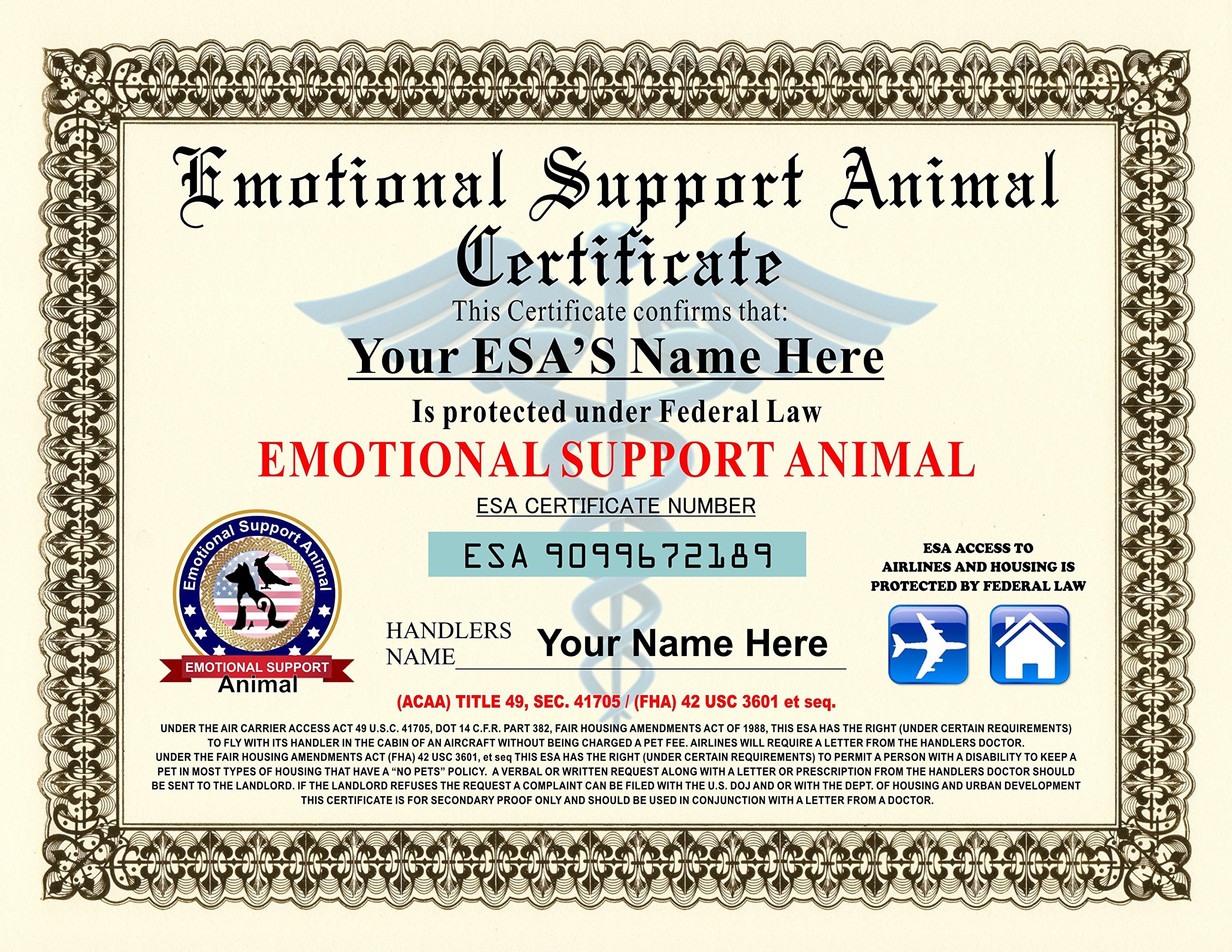 Emotional Support Dog Paperwork Free Hotsell