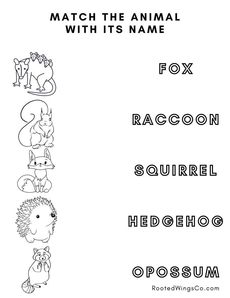 Free Fall Animal Coloring Pages Rooted Wings Co
