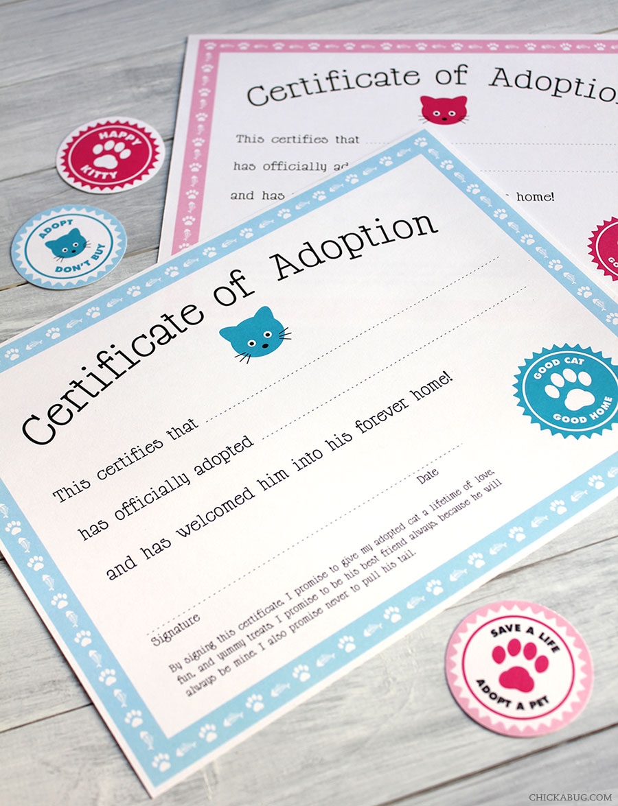 Free Printable Cat Adoption Kits Chickabug