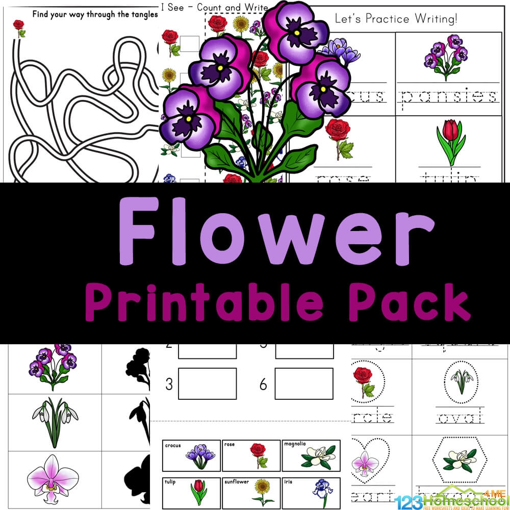 Flower Worksheets For Preschool Printable