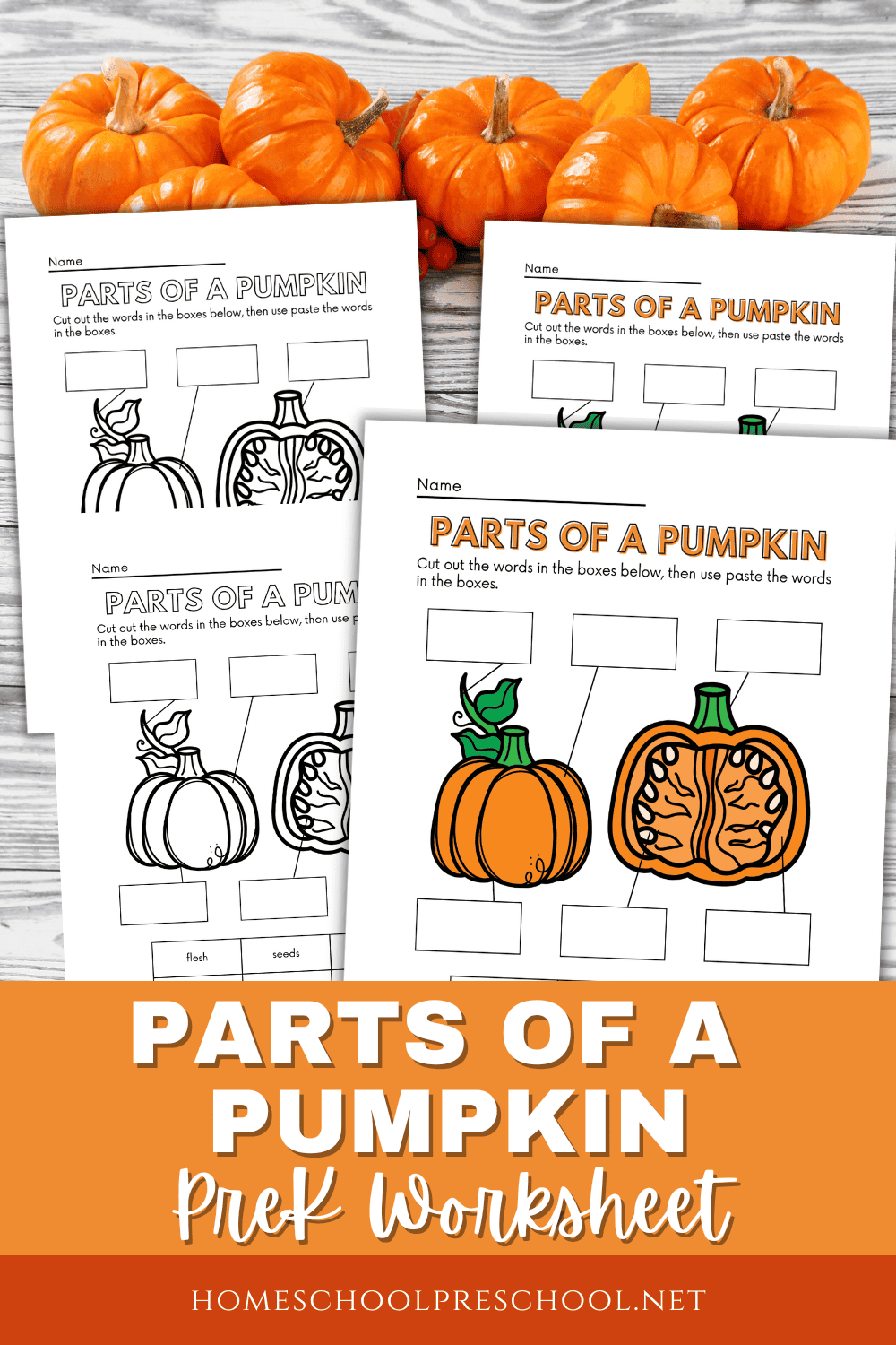 Free Printable Parts Of A Pumpkin Worksheet Free Printable Parts Of A Pumpkin Worksheet