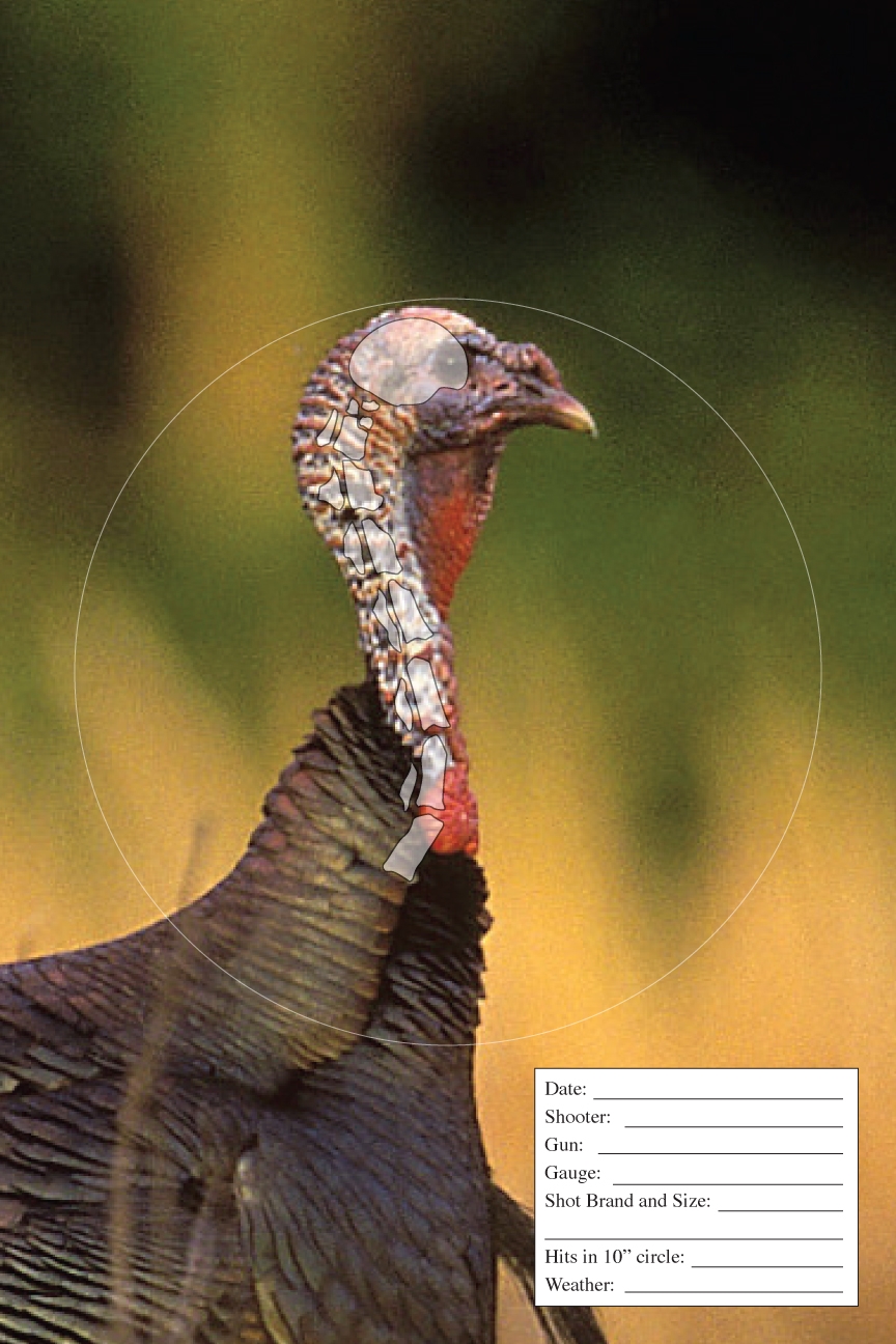 Free Printable Turkey Targets VanHelden Game Calls