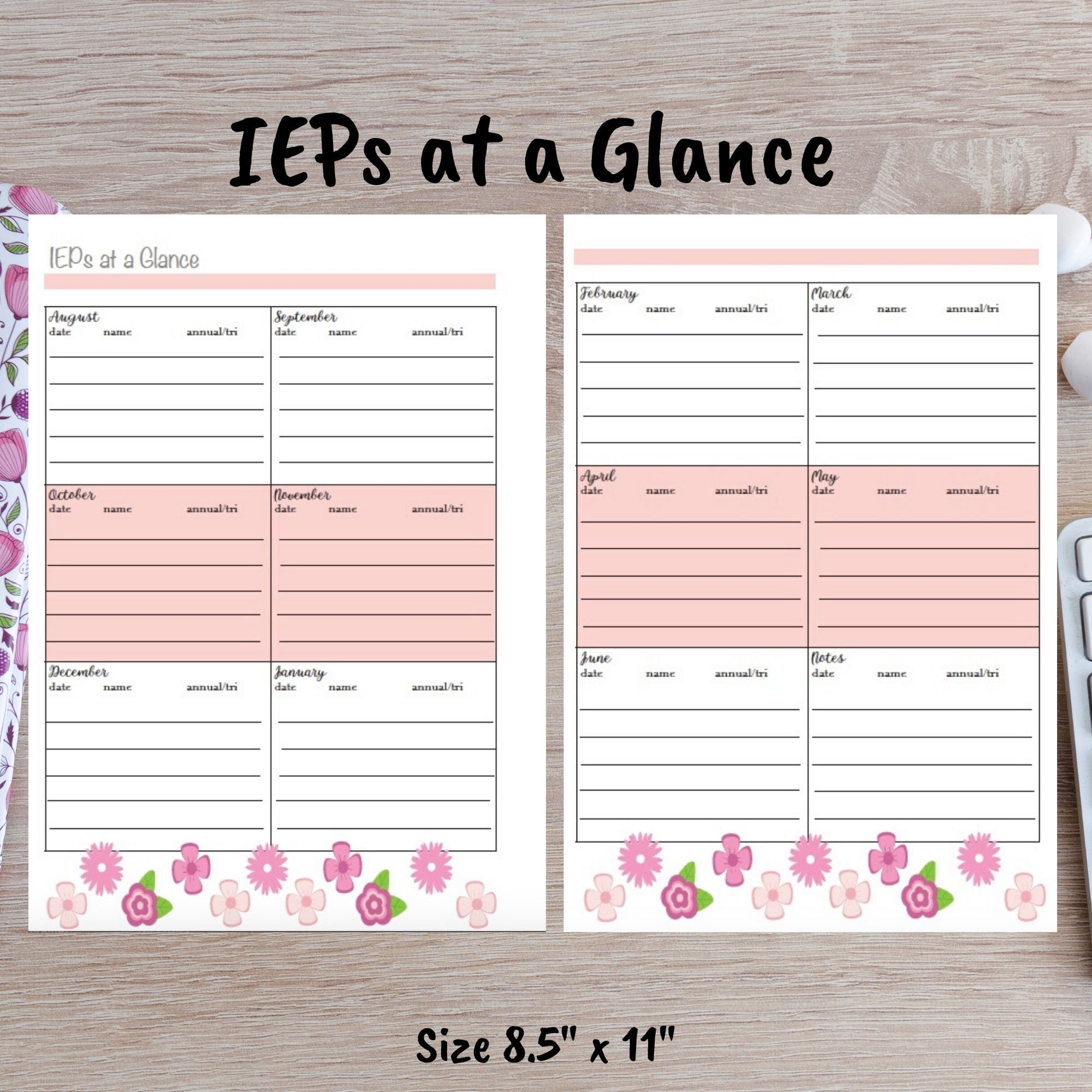 Ieps At A Glance Teacher Planner Printable Etsy