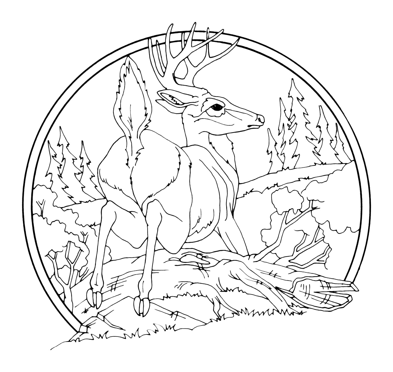 Low Relief Animal Scenes Woodcarving Illustrated