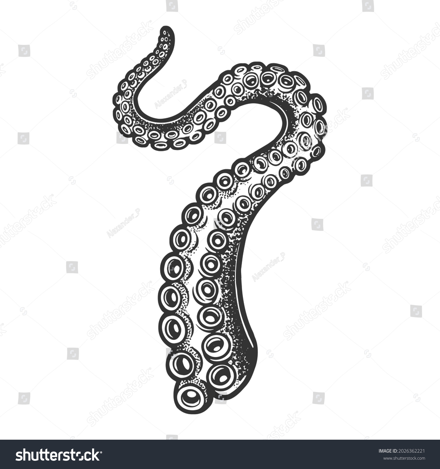 Octopus Tentacle Sea Food Sketch Engraving Stock Vector Royalty Free 2026362221 Shutterstock Octopus Tentacle Sea Food Sketch Engraving Stock Vector Royalty Free 2026362221 Shutterstock