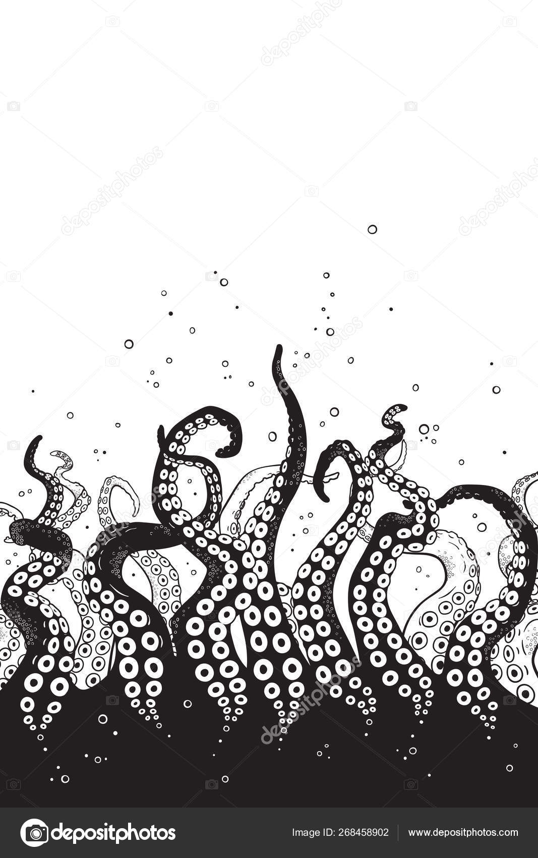 Octopus Leg Printable Patterns Octopus Leg Printable Patterns