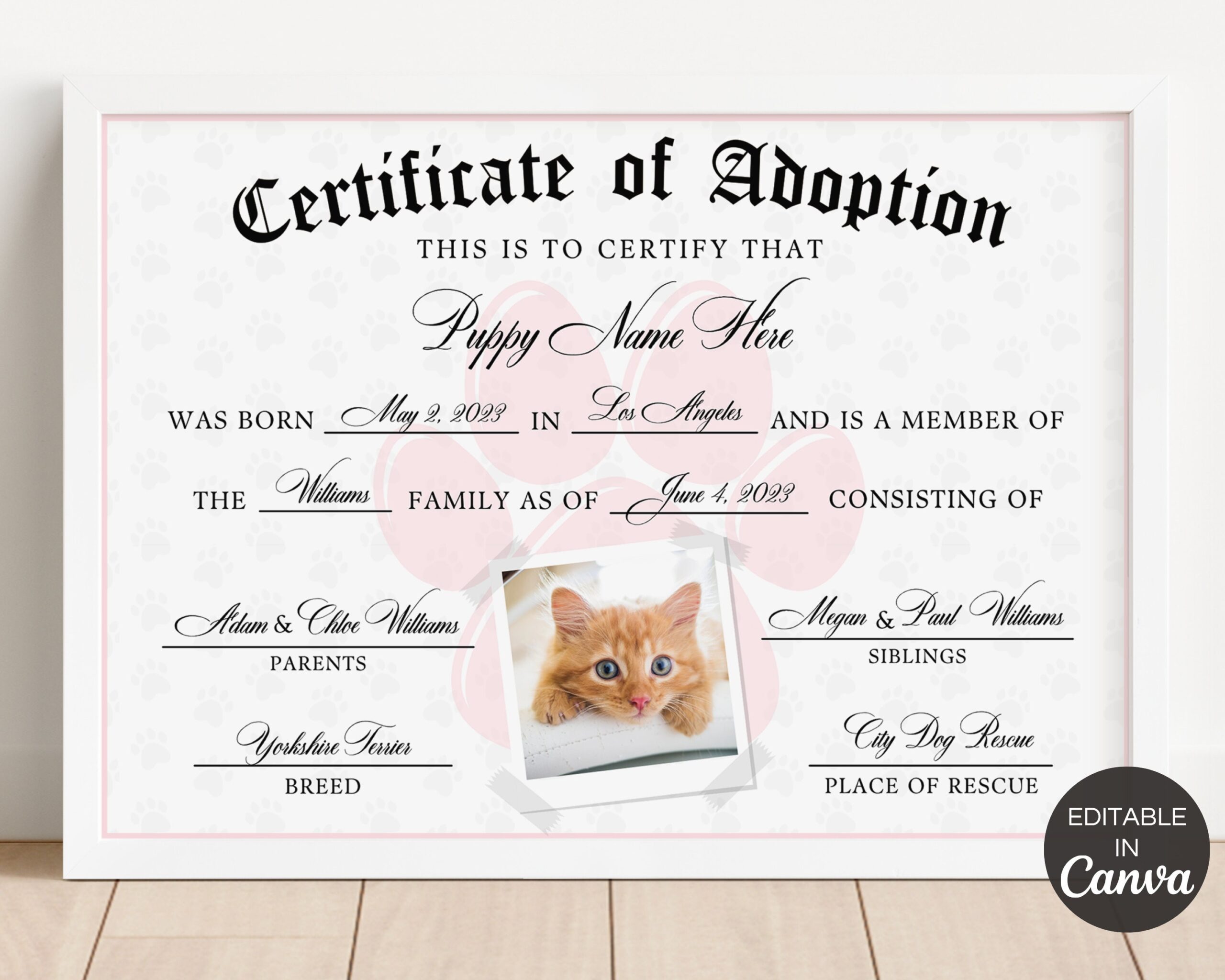Pet Adoption Certificate Template Editable Certificate Of Adoption Printable Gotcha Day Certificate Cat Dog Adoption Certificate TDS 09 Etsy
