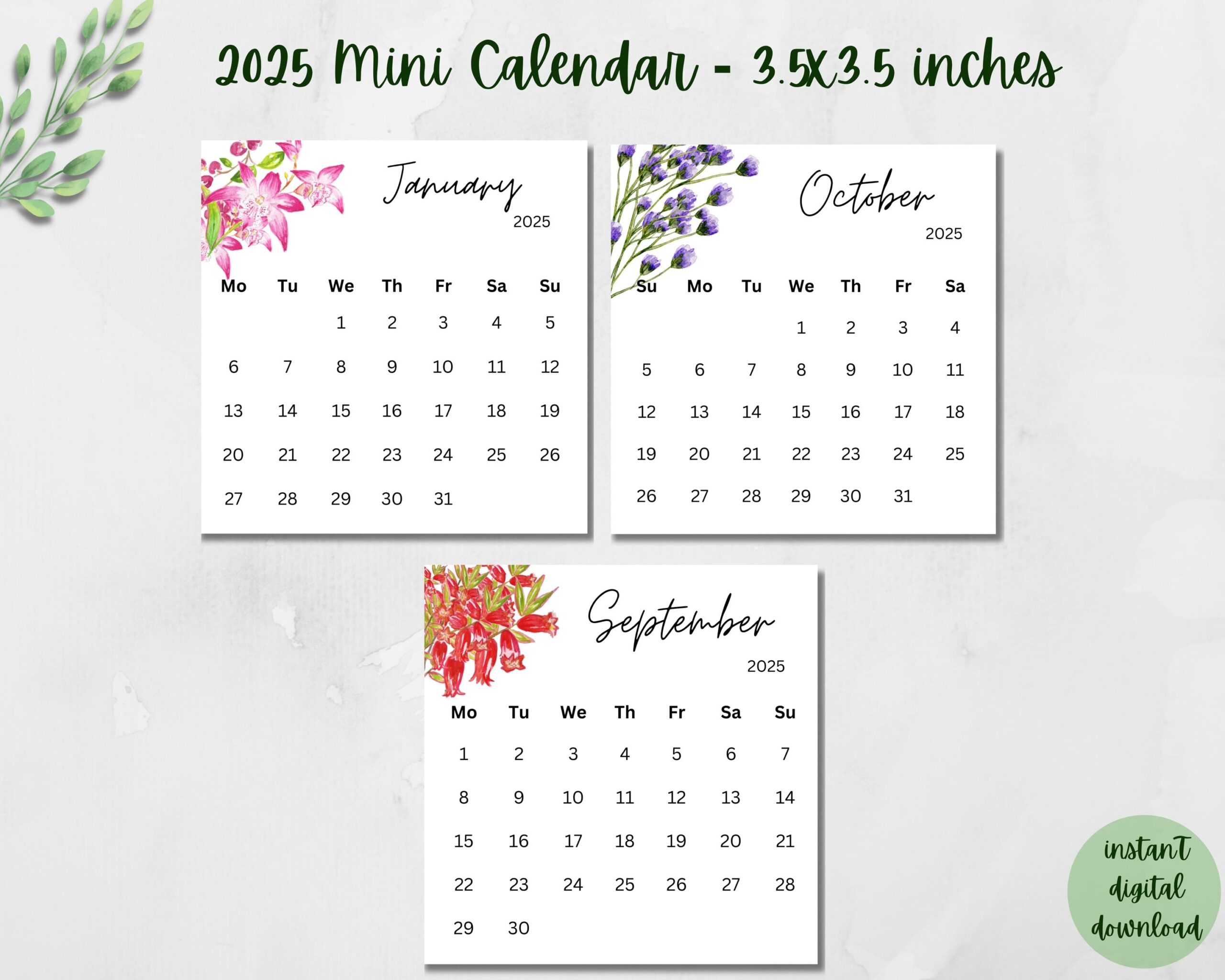 Printable 2025 Mini Calendar 3 5x3 5 Inches Floral Calendar Pocket Calendar Desk Calendar Printable Calendar Cards Digital Calendar Etsy Printable 2025 Mini Calendar 3 5x3 5 Inches Floral Calendar Pocket Calendar Desk Calendar Printable Calendar Cards Digital Calendar Etsy