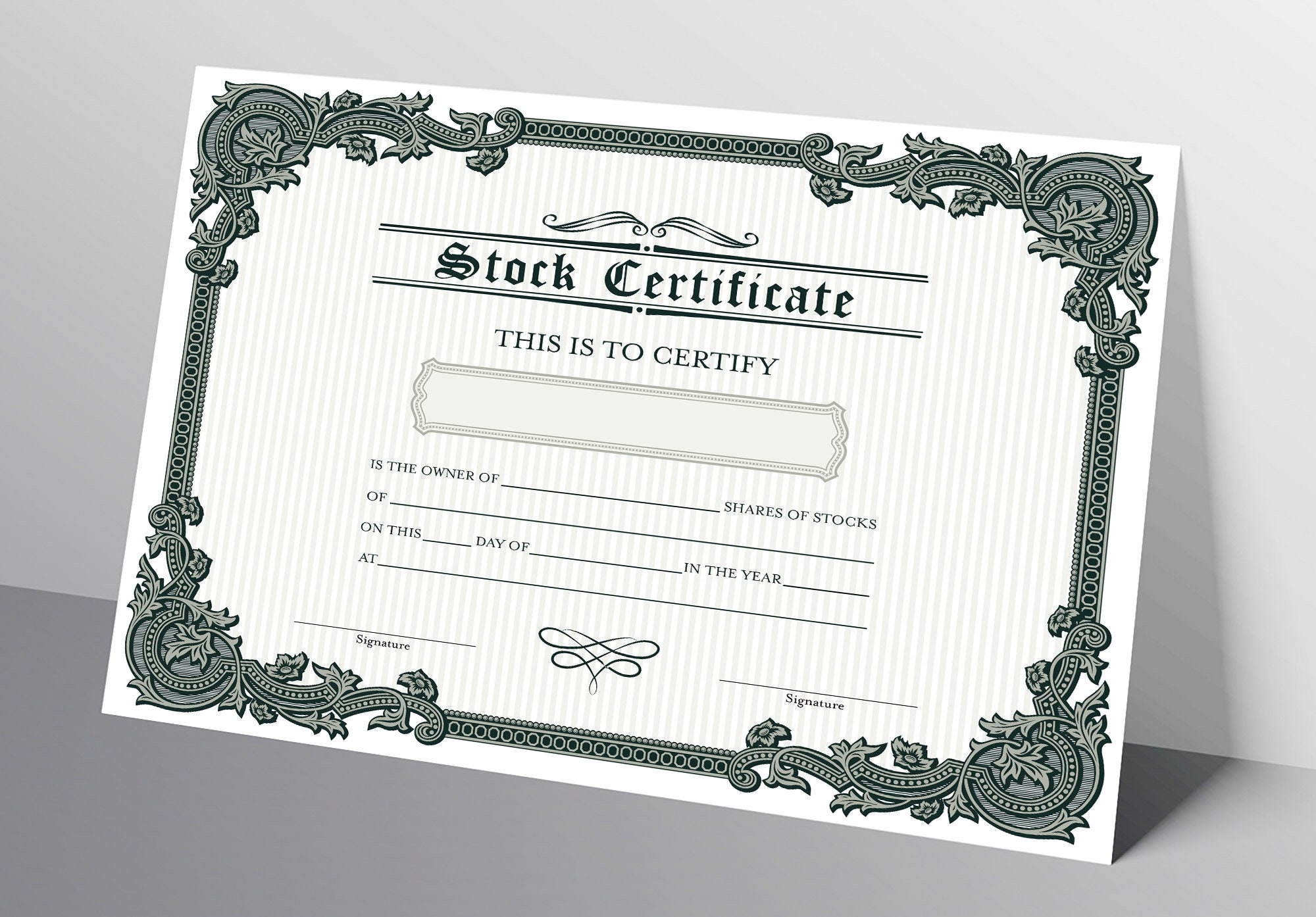 PRINTABLE Blank Stock Certificate Template DIY Certificate Of Stock Downloadable PDF Etsy