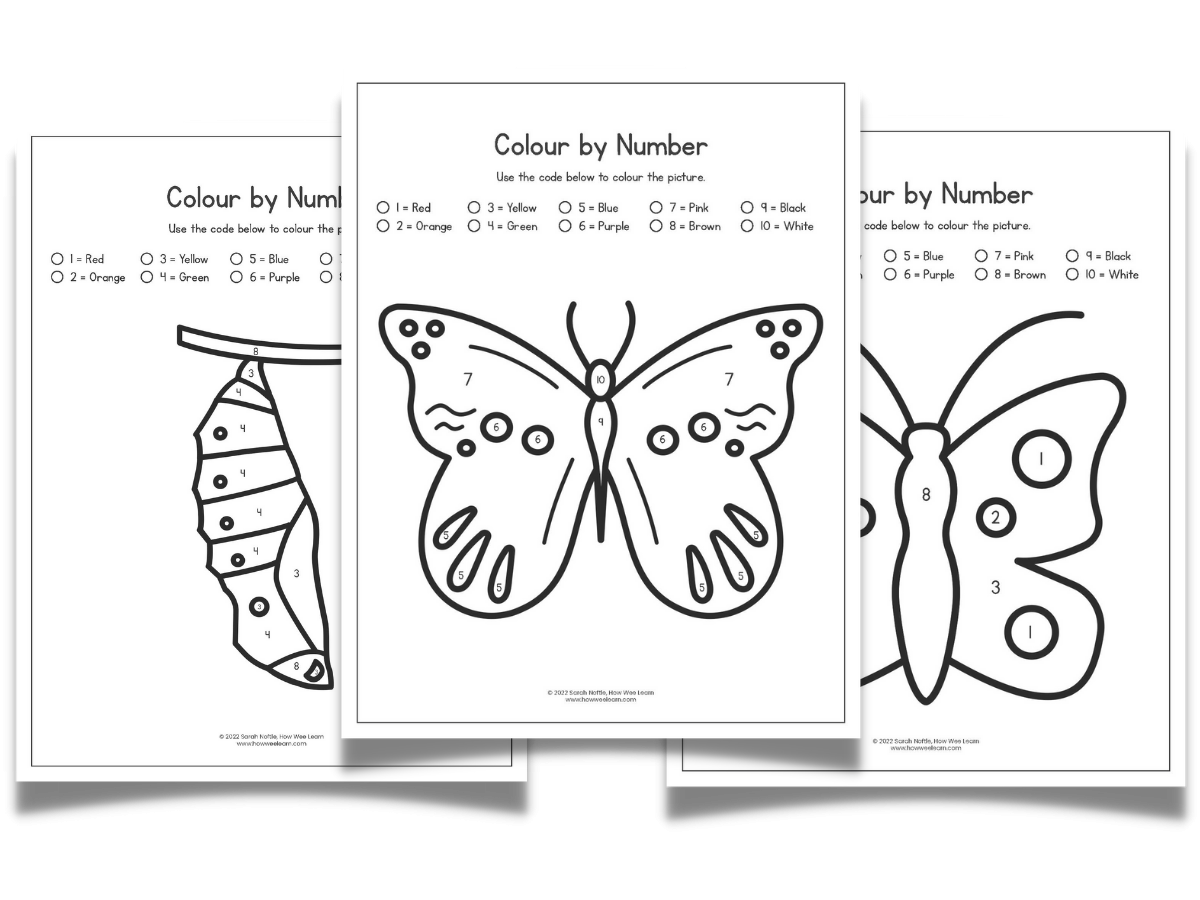 Free Printable Butterfly Worksheets For Second Grade