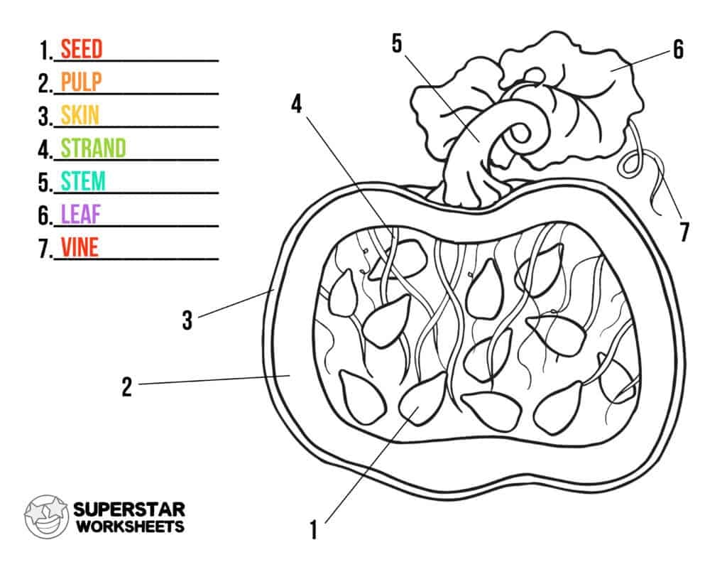 Pumpkin Worksheet Superstar Worksheets Pumpkin Worksheet Superstar Worksheets