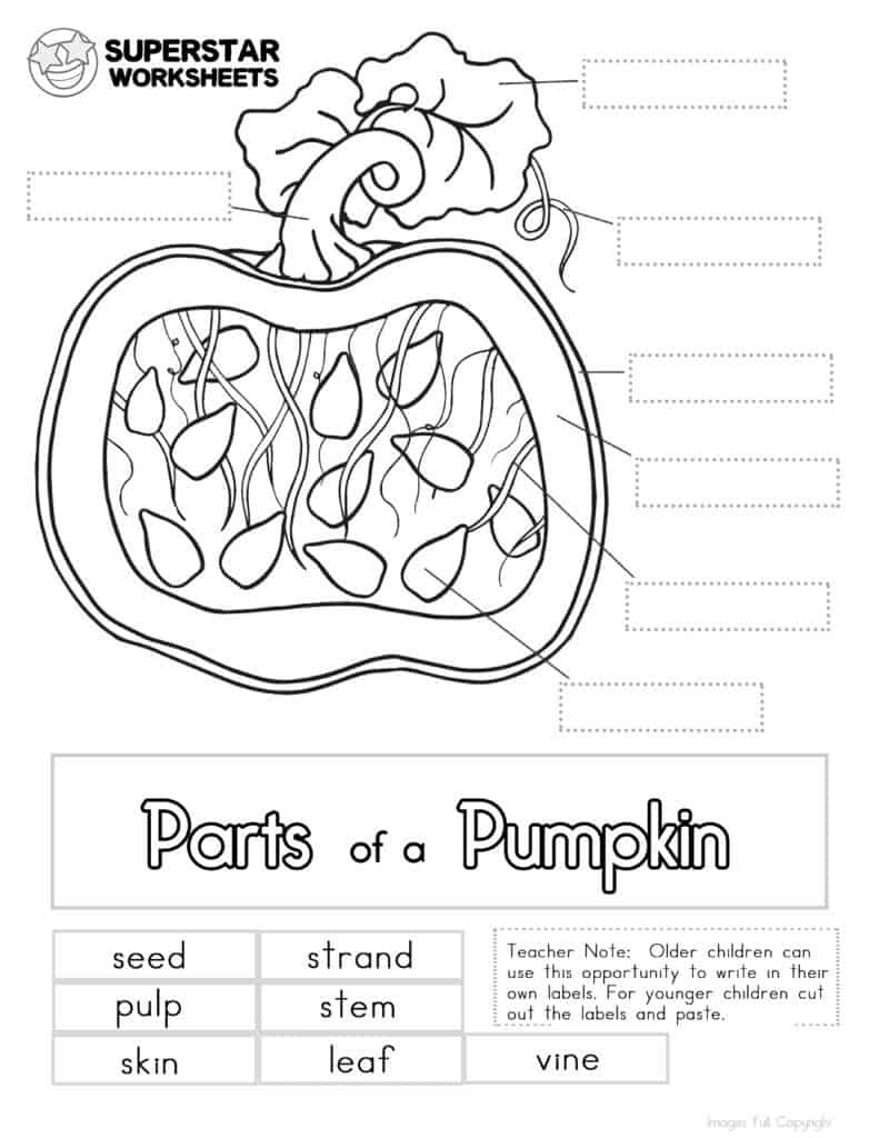 Pumpkin Worksheet Superstar Worksheets Pumpkin Worksheet Superstar Worksheets