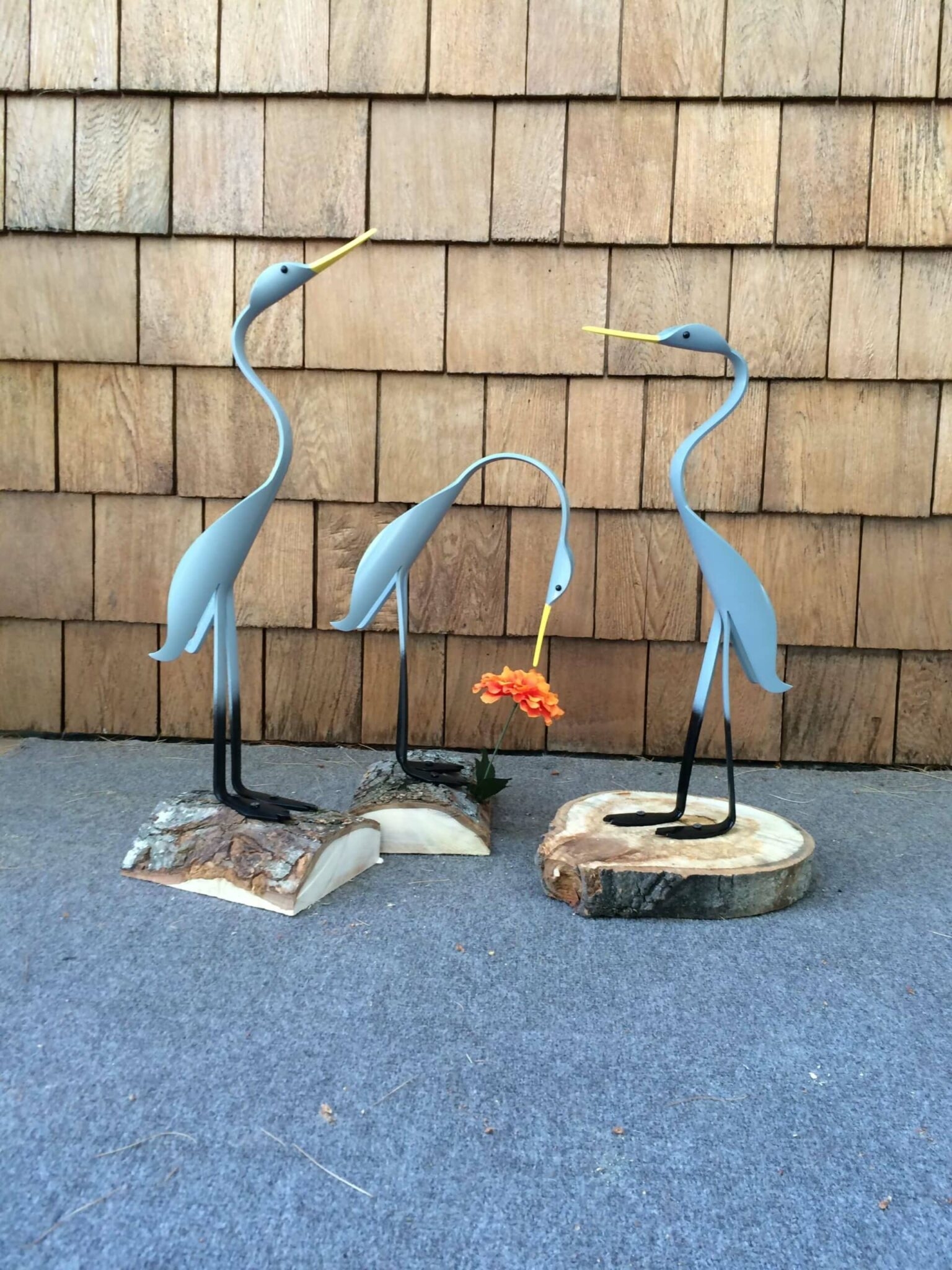 Free Printable Pvc Bird Patterns