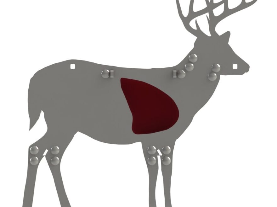 Shots To The Vital Areas Texas Parks Wildlife Department Worksheets Library