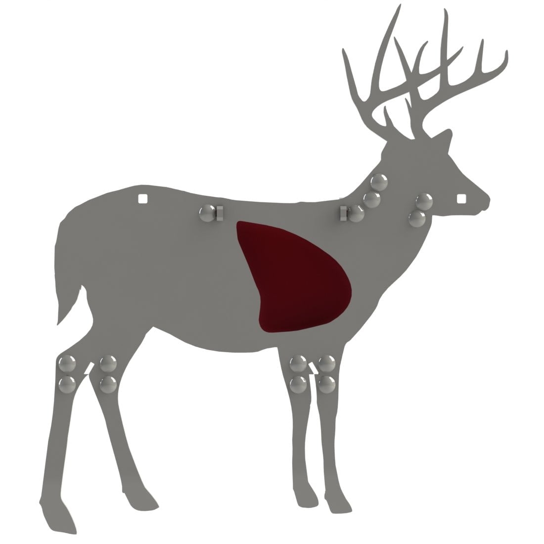 Shots To The Vital Areas Texas Parks Wildlife Department Worksheets Library