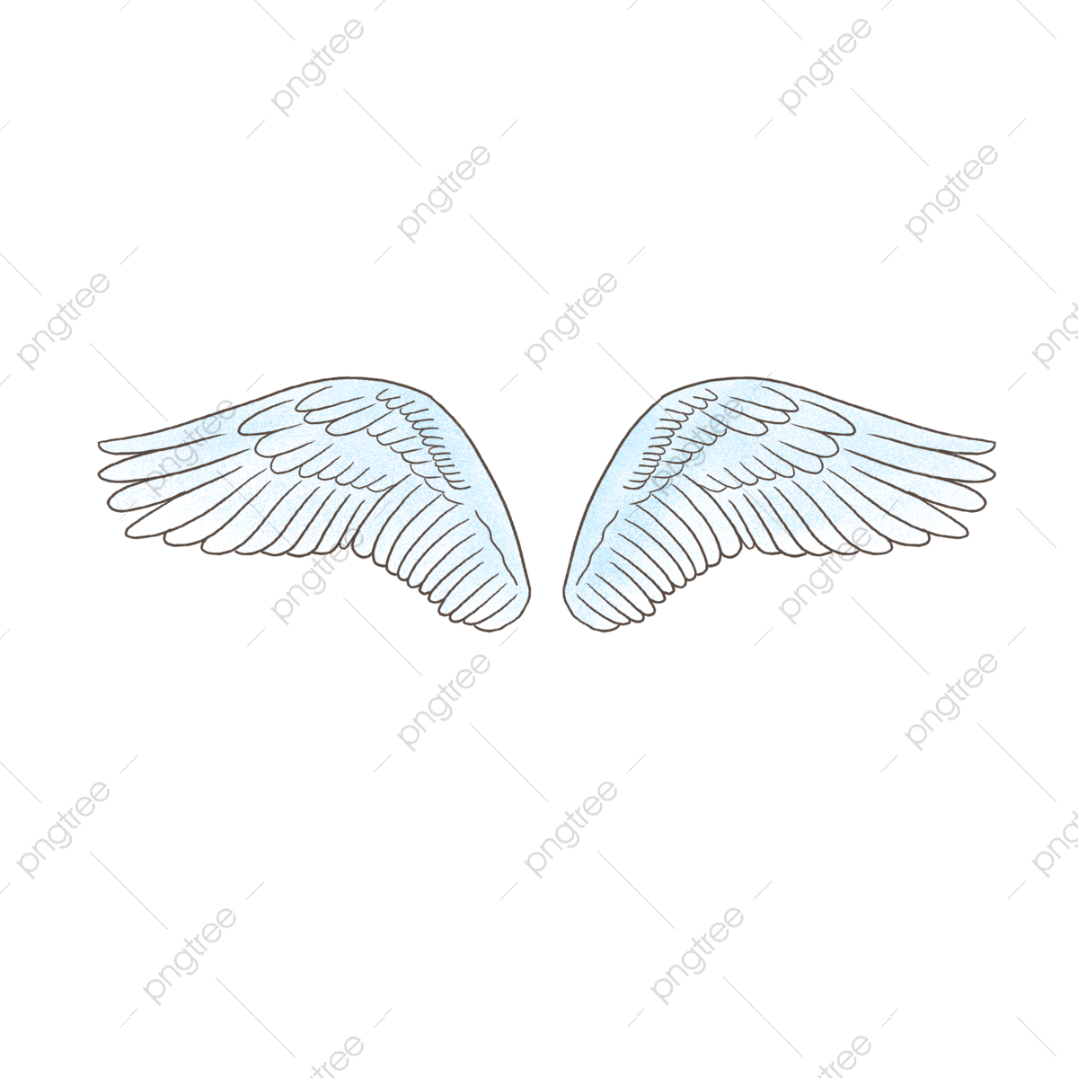 Swan Wings White Transparent Hand Painted Swan Wings Illustration White Wings Swan Wings Beautiful Wings PNG Image For Free Download Swan Wings White Transparent Hand Painted Swan Wings Illustration White Wings Swan Wings Beautiful Wings PNG Image For Free Download