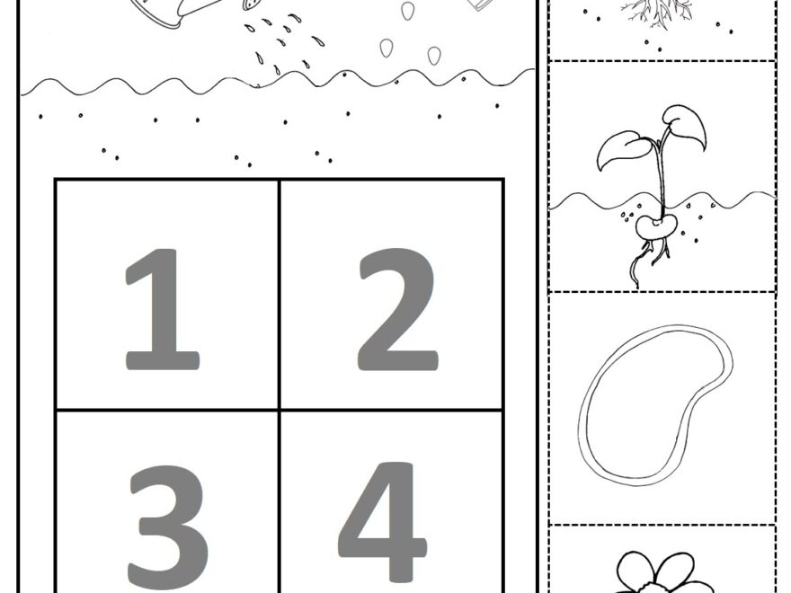 The 5 Best WORKSHEETS For FLOWERS Preschool Theme Preschool