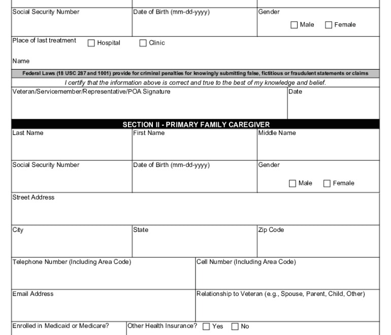 Va Form 10 10cg Fill Out Sign Online DocHub