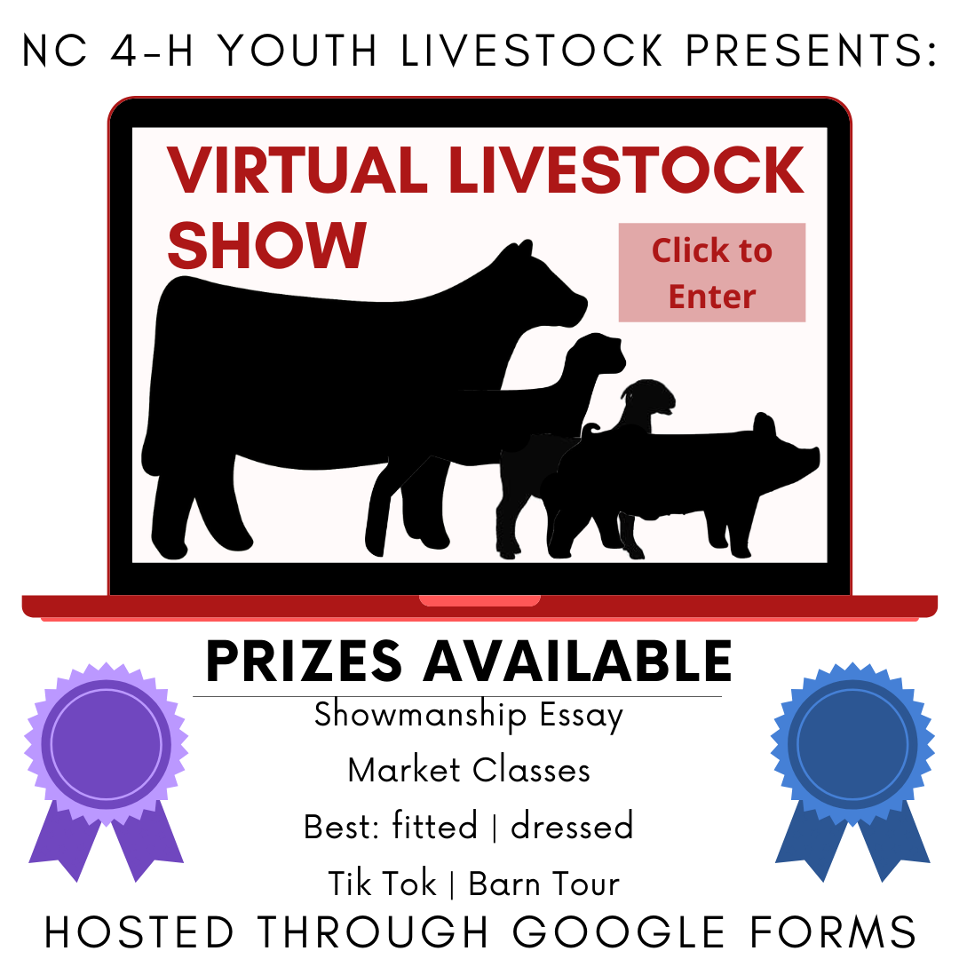 Virtual Livestock Show Showing From Home NC State Extension Virtual Livestock Show Showing From Home NC State Extension