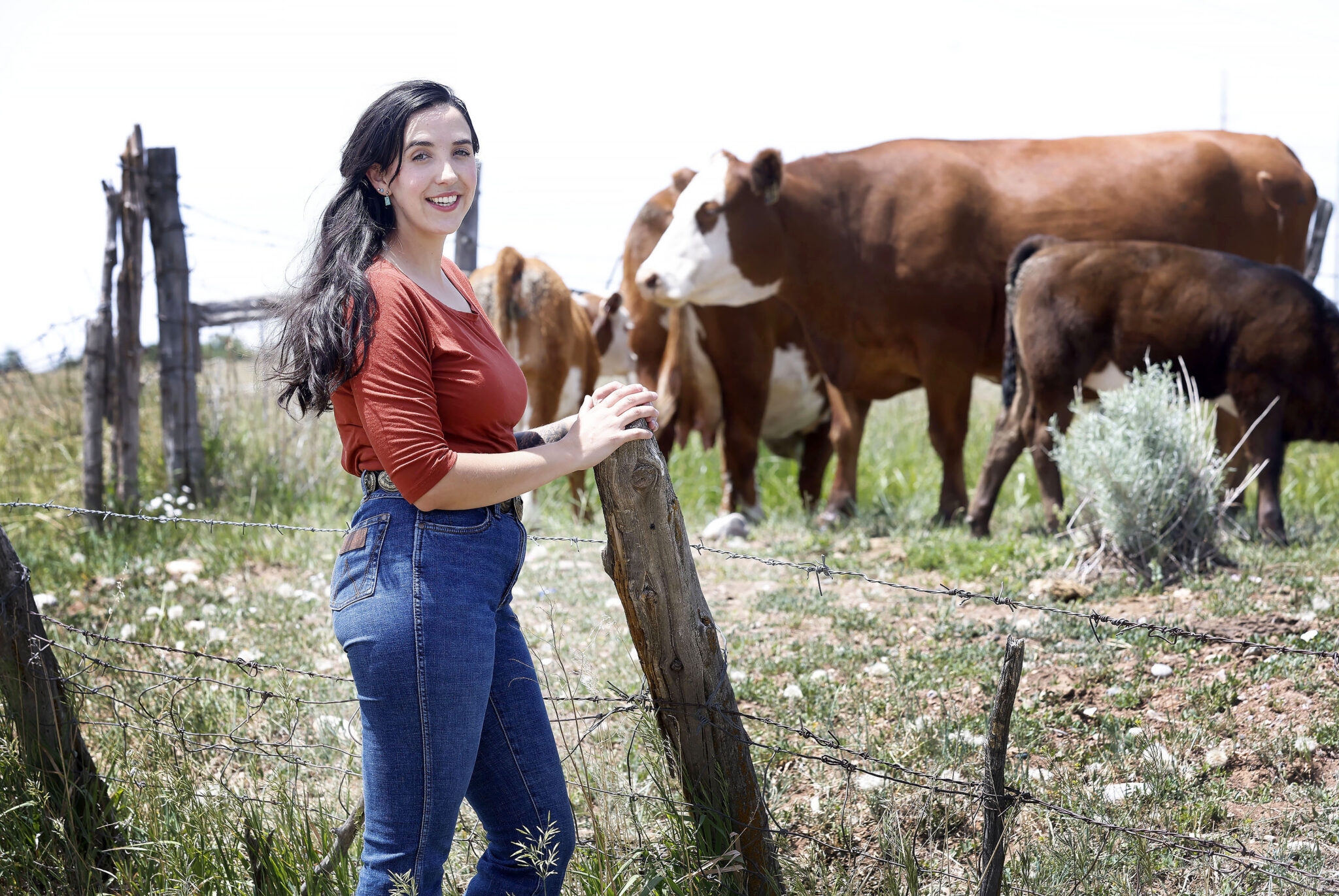 Urban Cow Registration Form Printable Urban Cow Registration Form Printable